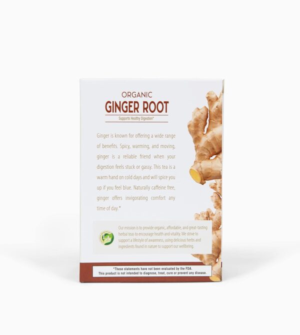 Lifestyle Awareness Organic Ginger Root Tea, Caffeine Free, 20 Count (Pack of 6), Packaging May Vary - Image 3