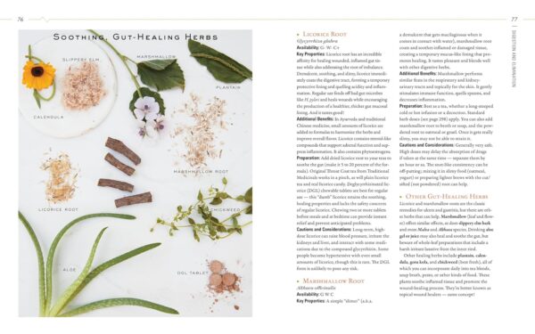 Body into Balance: An Herbal Guide to Holistic Self-Care - Image 6