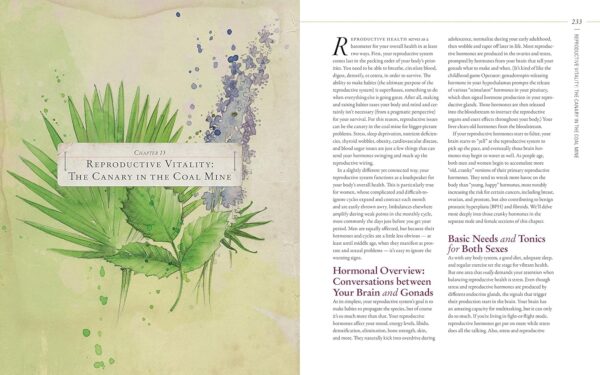 Body into Balance: An Herbal Guide to Holistic Self-Care - Image 17