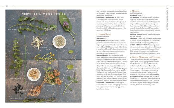 Body into Balance: An Herbal Guide to Holistic Self-Care - Image 12