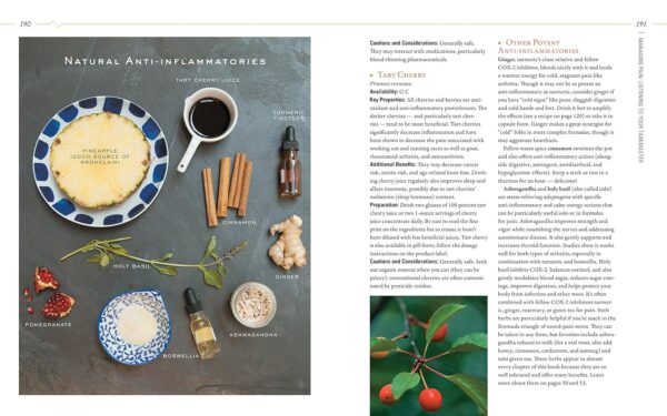 Body into Balance: An Herbal Guide to Holistic Self-Care - Image 16