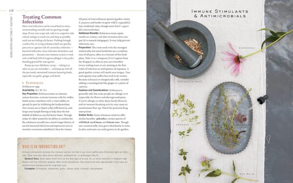 Body into Balance: An Herbal Guide to Holistic Self-Care - Image 14