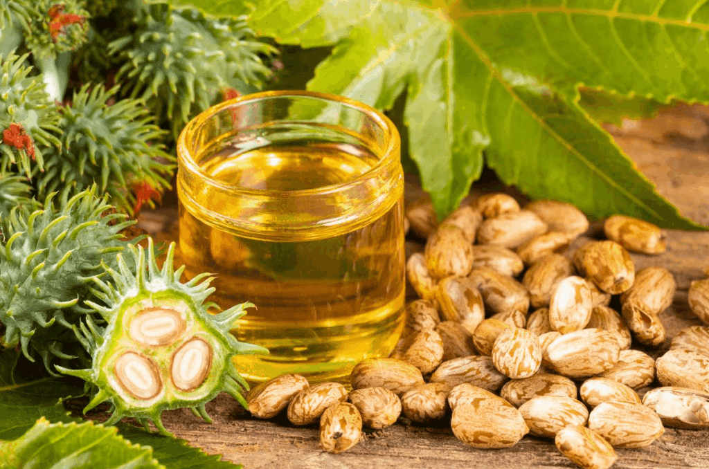 castor-oil-castor-all-02
